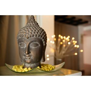 FUENTEPARK - Alojamientos en CORRALEJO