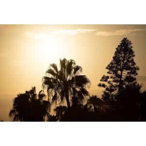FUENTEPARK - Alojamientos en CORRALEJO