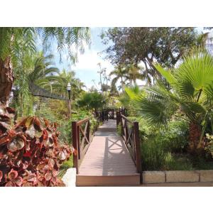 PARK CLUB EUROPE - Alojamientos en PLAYA DE LAS AMERICAS