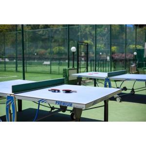 MASARU - Accomodations en PUERTO DE LA CRUZ