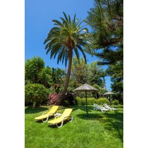 MASARU - Accomodations en PUERTO DE LA CRUZ