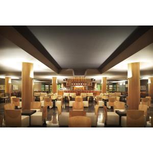 ROCA NIVARIA GRAN HOTEL - Alojamientos en PLAYA PARAISO