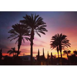 GREEN GARDEN ECO RESORT - Accomodations en PLAYA DE LAS AMERICAS