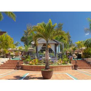 GREEN GARDEN ECO RESORT - Accomodations en PLAYA DE LAS AMERICAS