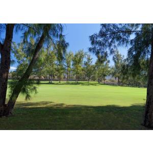 GREEN GARDEN ECO RESORT - Accomodations en PLAYA DE LAS AMERICAS